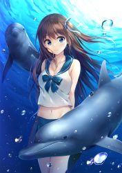 Rule 34 | 1girl, air bubble, animal, arms behind back, bare arms, bare shoulders, blue bow, blue eyes, blue ribbon, blue sailor collar, blue skirt, bow, bowtie, breasts, brown hair, bubble, cleavage, collarbone, crop top, day, dolphin, floating hair, freediving, hair ribbon, highres, long hair, looking at viewer, midriff, miniskirt, navel, one side up, original, outdoors, pasdar, pleated skirt, ribbon, sailor collar, school uniform, serafuku, shirt, skirt, sleeveless, sleeveless shirt, small breasts, smile, solo, sunlight, thighs, underwater, water, white shirt