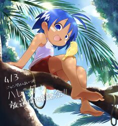 Rule 34 | 1boy, absurdres, bird, blue eyes, blue hair, child, cloud, commentary request, dark skin, day, feet, full body, hachidori (hachidori no su), hare (jungle wa itsumo), highres, jungle wa itsumo hare nochi guu, male focus, open mouth, outdoors, palm tree, red shorts, shirt, short hair, shorts, sitting, smile, solo, toes, translation request, tree, white shirt