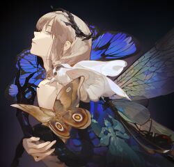 Rule 34 | 1boy, ask (askzy), black background, blue eyes, bug, butterfly, butterfly wings, crown, dragonfly wings, fate/grand order, fate (series), grey hair, insect, insect wings, male focus, moth, oberon (fate), solo, wings