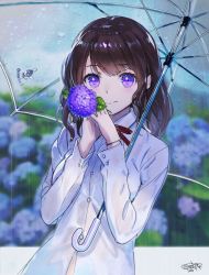 Rule 34 | 1girl, blurry, blurry background, blush, bra visible through clothes, brown hair, closed mouth, collared shirt, depth of field, flower, gloves, hands up, holding, holding flower, holding umbrella, hydrangea, long hair, long sleeves, looking at viewer, original, purple eyes, purple gloves, rain, sanbasou, school uniform, see-through, shirt, signature, smile, solo, transparent, transparent umbrella, umbrella, wet, wet clothes, wet shirt, white shirt