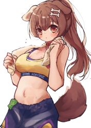 Rule 34 | 1girl, absurdres, animal collar, animal ears, bare arms, black skirt, blue shorts, blush, breasts, brown eyes, brown hair, collar, dog ears, dog girl, dog tail, double-parted bangs, hair ornament, hairclip, highres, hololive, inugami korone, large breasts, long hair, looking at viewer, midriff, navel, official alternate costume, official alternate hairstyle, parted lips, pikipiki piiman (inugami korone), ponytail, red collar, shorts, skirt, solo, sports bra, sportswear, surprised, sweat, tail, towel, towel around neck, virtual youtuber, whcamellia00, wiping sweat, yellow sports bra