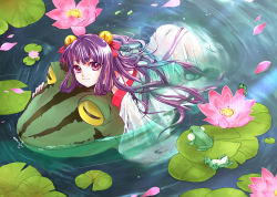Rule 34 | 1girl, afloat, animal, ass, bad id, bad pixiv id, flower, frog, hair ornament, kiriga naina, lily pad, long hair, looking at viewer, lotus, lying, mini person, minigirl, off shoulder, on stomach, original, oversized animal, partially submerged, petals, pink eyes, purple eyes, purple hair, riding, see-through, smile, solo, very long hair, water, wet, wet clothes