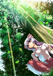 Rule 34 | 1girl, bow, breasts, female focus, from below, fujiwara no mokou, hair bow, impossible clothes, impossible shirt, long hair, pants, perspective, shirt, solo, sunlight, suspenders, touhou, tree, umigarasu (kitsune1963)