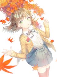 Rule 34 | 1girl, autumn, autumn leaves, badge, black thighhighs, blue ribbon, blue skirt, bow, brown hair, button badge, buttons, cardigan, collared shirt, cowboy shot, dress shirt, earrings, green eyes, hands up, heart, holding, holding leaf, jewelry, leaf, long sleeves, looking at viewer, maple leaf, neck ribbon, open cardigan, open clothes, open m/, original, parted lips, pleated skirt, red bow, ribbon, saban, shirt, short hair, simple background, skirt, solo, teeth, text focus, thighhighs, white background, white shirt, wind, zettai ryouiki