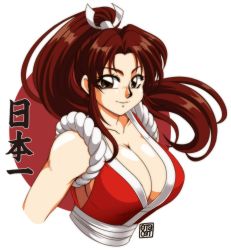 Rule 34 | 0tacat, 1girl, artist name, bare shoulders, breasts, brown eyes, brown hair, cleavage, collarbone, commentary, fatal fury, hair ornament, high ponytail, highres, large breasts, long hair, looking at viewer, ninja, parted bangs, parted lips, ponytail, retro artstyle, rope, shiny skin, shiranui mai, signature, simple background, sleeveless, smile, snk, solo, the king of fighters, upper body