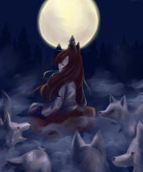 Rule 34 | 1girl, animal ears, brown hair, dress, closed eyes, fang, fog, forest, full moon, highres, imaizumi kagerou, long hair, long sleeves, lovewolf5122, moon, nature, red eyes, sitting, tail, touhou, very long hair, wolf, wolf ears, wolf tail
