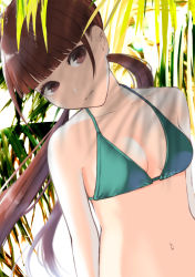 Rule 34 | 1girl, bad id, bad pixiv id, bikini, blunt bangs, breasts, brown eyes, brown hair, day, green bikini, hami (hami-gerden), highres, long hair, looking at viewer, low twintails, navel, original, outdoors, small breasts, swimsuit, twintails
