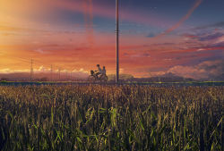 Rule 34 | 1boy, 1girl, bicycle, braid, brown hair, cloud, field, highres, hill, isai shizuka, kneehighs, multiple riders, original, outdoors, pants, plant, power lines, riding, scenery, shirt, short sleeves, sidesaddle, skirt, sky, socks, star (sky), sunset, transmission tower, twin braids, utility pole, white shirt, white socks, wide shot
