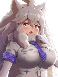 Rule 34 | 1girl, animal ears, big hair, blue eyes, blue necktie, blush, close-up, commentary request, elbow gloves, fang, finger to mouth, fur collar, gloves, highres, kemono friends, kemono friends 3, lion ears, lion girl, long hair, necktie, open mouth, plaid necktie, plaid neckwear, plaid trim, shirt, short sleeves, solo, tayuura (kuwo), white gloves, white hair, white lion (kemono friends), white shirt