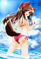 Rule 34 | 1girl, alternate hairstyle, animal ears, ass, azumaya toushirou, back, bad id, bad pixiv id, bikini, blue sky, blush, brown hair, cloud, day, dutch angle, from behind, hair ribbon, highres, imaizumi kagerou, looking at viewer, looking back, ocean, open mouth, partially submerged, ponytail, red bikini, red eyes, ribbon, sky, smile, solo, sun, swimsuit, tail, touhou, wading, water, wolf ears, wolf tail