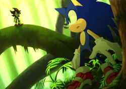 Rule 34 | forest, gloves, nature, sega, shadow the hedgehog, sonic the hedgehog, sonic adventure, sonic adventure 2, sonic (series)