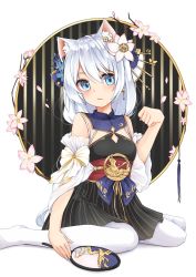 Rule 34 | 1girl, :/, absurdres, animal ears, artist request, bare shoulders, blue eyes, breasts, cat ears, chinese clothes, closed mouth, earrings, flower, hair between eyes, hair flower, hair ornament, hand fan, highres, holding, honkai (series), honkai impact 3rd, jewelry, leggings, looking at viewer, on floor, pantyhose, sitting, small breasts, solo, theresa apocalypse, zhuge kongming (honkai impact), wariza, white background, white flower, white hair, white leggings, zhuge kongming (honkai impact)