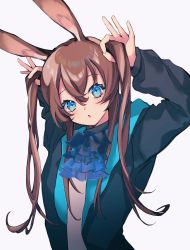 Rule 34 | 1girl, :o, amiya (arknights), animal ears, arknights, ascot, black jacket, blue ascot, blue eyes, brown hair, hair between eyes, hands in hair, head tilt, highres, jacket, long hair, looking at viewer, mmm ma pmpm, open clothes, open jacket, rabbit ears, shirt, sidelocks, simple background, solo, twintails, upper body, white background, white shirt