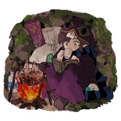 Rule 34 | 1boy, bag, blush, book, brown footwear, campfire, cooking, cup, drinking, fire, green eyes, holding, holding cup, leaf, male focus, milk, nintendo, noyuu, open book, pointy ears, purple hair, purple headwear, purple robe, ravio, reading, robe, rupee (zelda), scarf, short hair, solo, striped clothes, striped scarf, the legend of zelda, the legend of zelda: a link between worlds, wooden cup