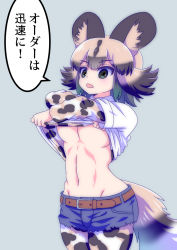 Rule 34 | 10s, 1girl, african wild dog (kemono friends), african wild dog print, animal ears, belt, black eyes, black hair, blonde hair, breasts, clothes lift, cowboy shot, cutoffs, denim, denim shorts, dog ears, dog tail, grey background, hands up, highres, hip focus, kemono friends, lifted by self, looking to the side, mamiyama, medium breasts, multicolored hair, navel, no bra, open mouth, pantyhose, print pantyhose, print shirt, shirt, shirt lift, short shorts, shorts, simple background, solo, standing, stomach, tail, toned, translation request, underboob, undershirt, undressing, upper body, white shirt