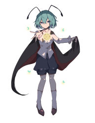 Rule 34 | 1girl, antennae, black cape, blue eyes, blue shorts, brown footwear, cape, cape hold, closed mouth, fireflies, frilled sleeves, frills, full body, green hair, hair between eyes, highres, kneehighs, long sleeves, red cape, shirt, shoes, short hair, shorts, simple background, smile, socks, solo, split mouth, standing, touhou, two-sided cape, two-sided fabric, white background, white socks, white shirt, wriggle nightbug, zhuanjia710