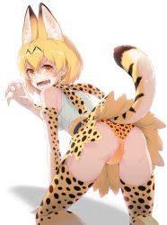 Rule 34 | 10s, 1girl, 40hara, all fours, animal ear fluff, animal ears, ass, bare shoulders, blonde hair, bow, breasts, claw pose, elbow gloves, fangs, fingernails, from behind, gloves, kemono friends, looking at viewer, looking back, medium breasts, open mouth, panties, pet play, print gloves, print legwear, print panties, ribbon-trimmed skirt, ribbon trim, serval (kemono friends), serval print, serval tail, sharp fingernails, shirt, short hair, simple background, skirt, sleeveless, solo, tail, underwear, white background