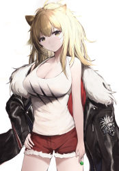 Rule 34 | 1girl, animal ears, arknights, black jacket, blacktheif, blonde hair, breasts, candy, cleavage, closed mouth, food, fur trim, hand on own hip, highres, jacket, large breasts, lion ears, lollipop, looking at viewer, ponytail, red shorts, shirt, short hair, shorts, siege (arknights), simple background, solo, white background, white shirt, yellow eyes