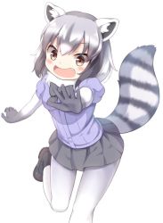 Rule 34 | 10s, 1girl, animal ears, black bow, black bowtie, black footwear, black gloves, black hair, black skirt, blush, bow, bowtie, brown eyes, common raccoon (kemono friends), fang, foreshortening, fur collar, gloves, grey hair, kemono friends, leg up, matsuu (akiomoi), miniskirt, multicolored hair, open mouth, outstretched arm, pantyhose, raccoon ears, raccoon tail, short sleeves, simple background, skirt, solo, tail, white background, white pantyhose