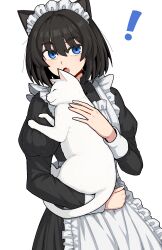 Rule 34 | !, 1girl, :o, animal, animal ears, apron, black dress, black hair, blue eyes, cat, cat ears, commentary request, cowboy shot, dress, fang, formicid, frilled apron, frills, hair between eyes, highres, holding, holding animal, holding cat, light blush, long hair, long sleeves, looking at viewer, maid, maid apron, maid headdress, mixed-language commentary, open mouth, original, simple background, solo, white apron, white background, white cat