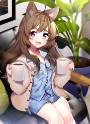 Rule 34 | 1girl, :d, animal ears, breasts, brown hair, cardigan, chair, cup, dog ears, giving, highres, hot chocolate, indie virtual youtuber, indoors, iriam, kawachi rin, long hair, long sleeves, looking at viewer, medium breasts, mug, open cardigan, open clothes, open mouth, pajamas, plant, potted plant, purple eyes, sitting, smile, takajou mayo, virtual youtuber