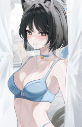 Rule 34 | 1girl, absurdres, animal ears, bell, black hair, blue archive, blue bra, blue choker, blush, bra, breasts, breath, bright pupils, cat ears, cat tail, choker, cleavage, collarbone, curtains, halo, highres, indoors, jaduade, kikyou (blue archive), looking at viewer, mouth hold, multiple tails, navel, neck bell, short hair, small breasts, stomach, sweat, tail, tears, underwear, upper body, white pupils