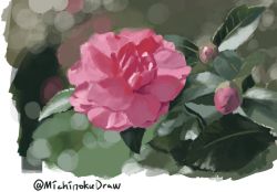 Rule 34 | commentary request, flower, flower focus, highres, leaf, michinoku (hiking miusan18), no humans, original, painterly, pink flower, still life, twitter username