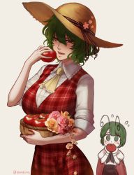Rule 34 | 2girls, 50x48x48, absurdres, ascot, black cape, bow, cape, collared shirt, commentary, eating, flower, green eyes, green hair, hat, hat bow, highres, kazami yuuka, long skirt, long sleeves, multiple girls, plaid, plaid skirt, plaid vest, red cape, red eyes, red skirt, red vest, rose, shirt, short hair, simple background, skirt, skirt set, sleeves rolled up, stain, straw hat, tomato, touhou, two-sided cape, two-sided fabric, vest, wavy hair, white background, white shirt, wriggle nightbug, yellow ascot