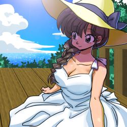 Rule 34 | 1girl, bare shoulders, braid, breasts, brown eyes, brown hair, cleavage, closed mouth, cloud, cloudy sky, day, dress, hat, hat ribbon, large breasts, light smile, long hair, looking to the side, matching hair/eyes, medium breasts, ocean, outdoors, porch, ranma 1/2, ribbon, sitting, sky, smile, solo, standing, sun hat, sundress, tendou kasumi, wanta (futoshi), white dress, yellow hat