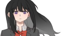 Rule 34 | 1girl, black hair, black jacket, bright pupils, chinese commentary, closed mouth, collared shirt, commentary request, expressionless, highres, inoue takina, jacket, long hair, long sleeves, looking at viewer, lycoris recoil, purple eyes, school uniform, shirt, simple background, solo, upper body, white background, white pupils, white shirt, yanlingjinshilihuahua