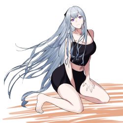 Rule 34 | 1girl, ak-12 (girls&#039; frontline), breasts, cleavage, collarbone, defy (girls&#039; frontline), girls&#039; frontline, highres, long hair, looking at viewer, purple eyes, seiza, silver hair, simple background, sitting, solo, sportswear, talnory, white background