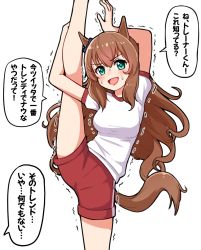 Rule 34 | 1girl, :d, animal ears, arms up, black bow, blush, bow, breasts, brown hair, commentary request, ear bow, feet out of frame, gym shirt, gym shorts, gym uniform, hair between eyes, horse ears, horse girl, horse tail, leg up, long hair, maruzensky (umamusume), medium breasts, open mouth, puffy short sleeves, puffy sleeves, red shorts, shirt, short shorts, short sleeves, shorts, simple background, smile, solo, split, standing, standing on one leg, standing split, sweat, tail, takiki, translation request, trembling, umamusume, v-shaped eyebrows, very long hair, white background, white shirt