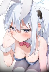 Rule 34 | 1girl, animal ears, aumann, blue archive, blue leotard, blush, bow, bowtie, braid, breasts, closed mouth, detached collar, fake animal ears, grey hair, hair between eyes, halo, highres, leotard, long hair, looking at viewer, medium breasts, miyako (blue archive), pantyhose, playboy bunny, rabbit ears, red bow, red bowtie, solo, white background, white pantyhose, wrist cuffs