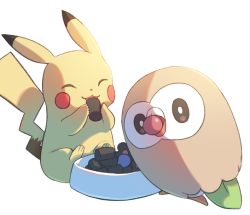 Rule 34 | bird, bright pupils, brown eyes, commentary request, creatures (company), eating, closed eyes, food, pet bowl, game freak, gen 1 pokemon, gen 7 pokemon, holding, looking at viewer, mokukitusui, mouth hold, nintendo, open mouth, owl, pikachu, pokemon, rowlet, sitting, smile, white background, white pupils