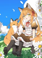 Rule 34 | 1girl, :d, animal ear fluff, animal ears, apron, black footwear, black skirt, blue sky, blush, boots, bow, cloud, collared shirt, colored inner hair, creature and personification, cumulonimbus cloud, daisy, day, falling petals, fang, flower, fox, fox ears, fox girl, fox tail, frilled skirt, frills, gradient clothes, grass, hair between eyes, hair ribbon, highres, hill, kamiyoshi rika, knee boots, long hair, looking at viewer, maid, multicolored hair, one side up, open mouth, orange hair, original, outdoors, petals, puffy short sleeves, puffy sleeves, red bow, red ribbon, ribbon, shirt, shoe soles, short sleeves, sidelocks, sitting, skirt, sky, smile, solo, stool, streaked hair, tail, waist apron, white apron, white flower, white hair, white shirt, yellow eyes