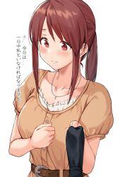 Rule 34 | 1girl, anti (0324), belt, breasts, brown eyes, brown hair, closed mouth, collarbone, commentary request, holding tie, idolmaster, idolmaster cinderella girls, jewelry, medium breasts, mifune miyu, necklace, necktie, ponytail, simple background, solo, translation request, upper body