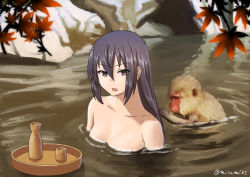 Rule 34 | 1girl, alcohol, autumn leaves, bare shoulders, black hair, blurry, breasts, brown eyes, choko (cup), cleavage, collarbone, commentary request, cup, depth of field, kantai collection, leaf, long hair, looking at viewer, maple leaf, medium breasts, misumi (niku-kyu), monkey, nagato (kancolle), nude, onsen, open mouth, partially submerged, sake, tokkuri, twitter username