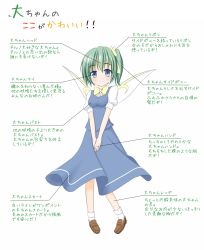 Rule 34 | 1girl, blue eyes, bow, daiyousei, diagram, edamame (barium), female focus, green hair, grey hair, hair ribbon, highres, loafers, pigeon-toed, ribbon, shoes, side ponytail, skirt, skirt set, smile, solo, touhou, translation request, v arms, wings