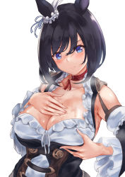 Rule 34 | 1girl, absurdres, animal ears, armpits, bell sleeves, black hair, blue eyes, blush, breast conscious, breast hold, breasts, choker, cleavage, closed mouth, collarbone, corset, detached sleeves, dirndl, dress, ear ornament, eishin flash (umamusume), frilled dress, frilled sleeves, frills, frown, german clothes, grabbing own breast, hands on own chest, highres, horse ears, horse girl, large breasts, looking at breasts, looking down, medium hair, red neckwear, simple background, skindentation, sleeveless, sleeveless dress, solo, steaming body, strap, sweat, swept bangs, uchida shou, umamusume, upper body, white background, white dress