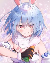 Rule 34 | 1girl, alternate hair length, alternate hairstyle, animal ear fluff, animal ears, auui, bare shoulders, black gloves, blue hair, blue ribbon, blush, braid, breasts, carrot, commentary, detached sleeves, don-chan (usada pekora), eating, eyes visible through hair, food, food on face, fur trim, gloves, grin, hair between eyes, highres, holding, holding food, hololive, looking at viewer, multicolored hair, puffy short sleeves, puffy sleeves, rabbit ears, rabbit girl, red eyes, ribbon, short hair, short sleeves, small breasts, smile, solo, symbol-only commentary, thick eyebrows, two-tone hair, upper body, usada pekora, usada pekora (1st costume), virtual youtuber