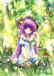 Rule 34 | 1girl, alternate costume, arm garter, arm up, bare shoulders, between legs, black ribbon, black thighhighs, blush, book, breasts, buttons, catbell, cleavage, clenched hand, collarbone, crescent, crescent hair ornament, dappled sunlight, detached sleeves, dress, frilled dress, frills, grass, hair ornament, hair ribbon, hand between legs, hat, head tilt, light particles, light rays, long hair, looking at viewer, mob cap, nature, on ground, outdoors, patchouli knowledge, puffy short sleeves, puffy sleeves, purple hair, red eyes, revision, ribbon, short dress, short sleeves, sitting, smile, solo, sparkle, strapless, strapless dress, sunbeam, sunlight, thighhighs, touhou, tree, tress ribbon, very long hair, wariza