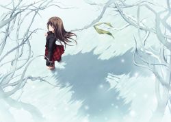 Rule 34 | 1girl, absurdres, blouse, blue eyes, brown hair, fireflies, from above, glowing, green eyes, grey hair, highres, long hair, looking back, looking up, miniskirt, nature, official art, outdoors, plaid, plaid skirt, plant, pp: pianissimo, ribbon, shadow, shirakawa ayane, shirt, skirt, solo, standing, sugina miki, thighhighs, thorns, vines, wading, water, wind