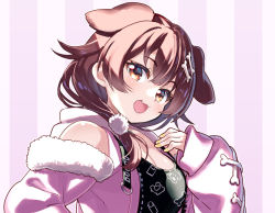 Rule 34 | 1girl, alternate costume, animal ears, animal print, bone hair ornament, braid, breasts, brown eyes, brown hair, cartoon bone, commentary request, dog ears, dog girl, dog print, fang, hair between eyes, hair ornament, hairclip, hololive, inugami korone, inugami korone (loungewear), jacket, long hair, looking at viewer, off shoulder, open mouth, sakino shingetsu, side braids, solo, striped, striped background, virtual youtuber