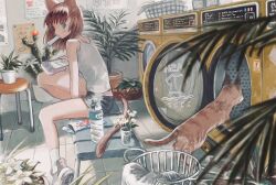 Rule 34 | 1girl, animal ears, blue eyes, blue shorts, brown hair, cactus, cat, cat ears, cat girl, cat tail, eokaku surimi, flower, food, food in mouth, handheld game console, highres, holding, holding handheld game console, indoors, laundromat, laundry basket, looking at viewer, on bench, original, plant, plastic bottle, popsicle, popsicle in mouth, poster (object), potted plant, shirt, shorts, sitting, sleeveless, solo, stool, tail, tile floor, tiles, washing machine, white flower, white shirt