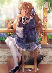 Rule 34 | 1girl, absurdres, bad id, bad pixiv id, bag, bird hair ornament, black bow, black cat, black footwear, blue bow, bow, braid, brown hair, cat, chair, drink, drinking straw, earrings, flower, food, fruit, full body, hair bow, hair ornament, handbag, highres, ice, ice cube, jewelry, long hair, looking at viewer, menu, orange (fruit), orange slice, original, pantyhose, plant, platinum (o0baijin0o), potted plant, purple eyes, sitting, solo, sticky note, striped, striped bow, stud earrings, very long hair, white pantyhose