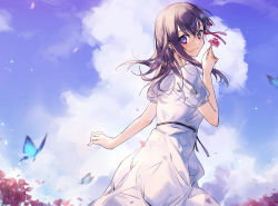 Rule 34 | 1girl, absurdres, blue sky, bug, butterfly, cloud, cumulonimbus cloud, day, dress, fate/stay night, fate (series), floating hair, flower, hair between eyes, hair ribbon, highres, holding, insect, long hair, matou sakura, outdoors, purple eyes, purple hair, red flower, red ribbon, ribbon, shigure (shigure 43), short sleeves, sky, solo, standing, straight hair, sundress, white dress