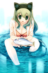 Rule 34 | 1girl, :d, animal ears, blue hair, blush, breasts, cat ears, cat tail, cleavage, fake animal ears, fish, gradient hair, green eyes, green hair, hanpen, large breasts, long hair, matching hair/eyes, multicolored hair, open clothes, open mouth, open shirt, puus, shirt, sitting, smile, soaking feet, solo, tail, water, wet