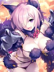 Rule 34 | 1girl, animal costume, artist name, blush, breasts, claws, elbow gloves, fang, fate/grand order, fate (series), gloves, hair over one eye, halloween costume, kousaki rui, large breasts, looking at viewer, mash kyrielight, mash kyrielight (dangerous beast), navel, official alternate costume, open mouth, purple eyes, purple hair, short hair, signature, smile, solo
