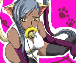 Rule 34 | 1girl, animal ears, bare shoulders, bell, bibirin, breasts, cat ears, cat girl, cat tail, code geass, dark skin, dark-skinned female, elbow gloves, female focus, gloves, large breasts, long hair, ponytail, silver hair, sitting, solo, tail, thighhighs, villetta nu, yellow eyes