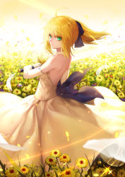 Rule 34 | 1girl, ahoge, artoria pendragon (all), artoria pendragon (fate), back, bare shoulders, blonde hair, bow, choker, curry bowl, dress, elbow gloves, fate/stay night, fate/unlimited codes, fate (series), feathers, field, flower, flower field, from behind, gloves, gown, green eyes, highres, holding, holding sword, holding weapon, long dress, long hair, looking at viewer, looking back, no pupils, official alternate costume, ponytail, saber (fate), saber lily, sidelocks, solo, sparkle, standing, strapless, strapless dress, sunlight, sword, weapon, white dress